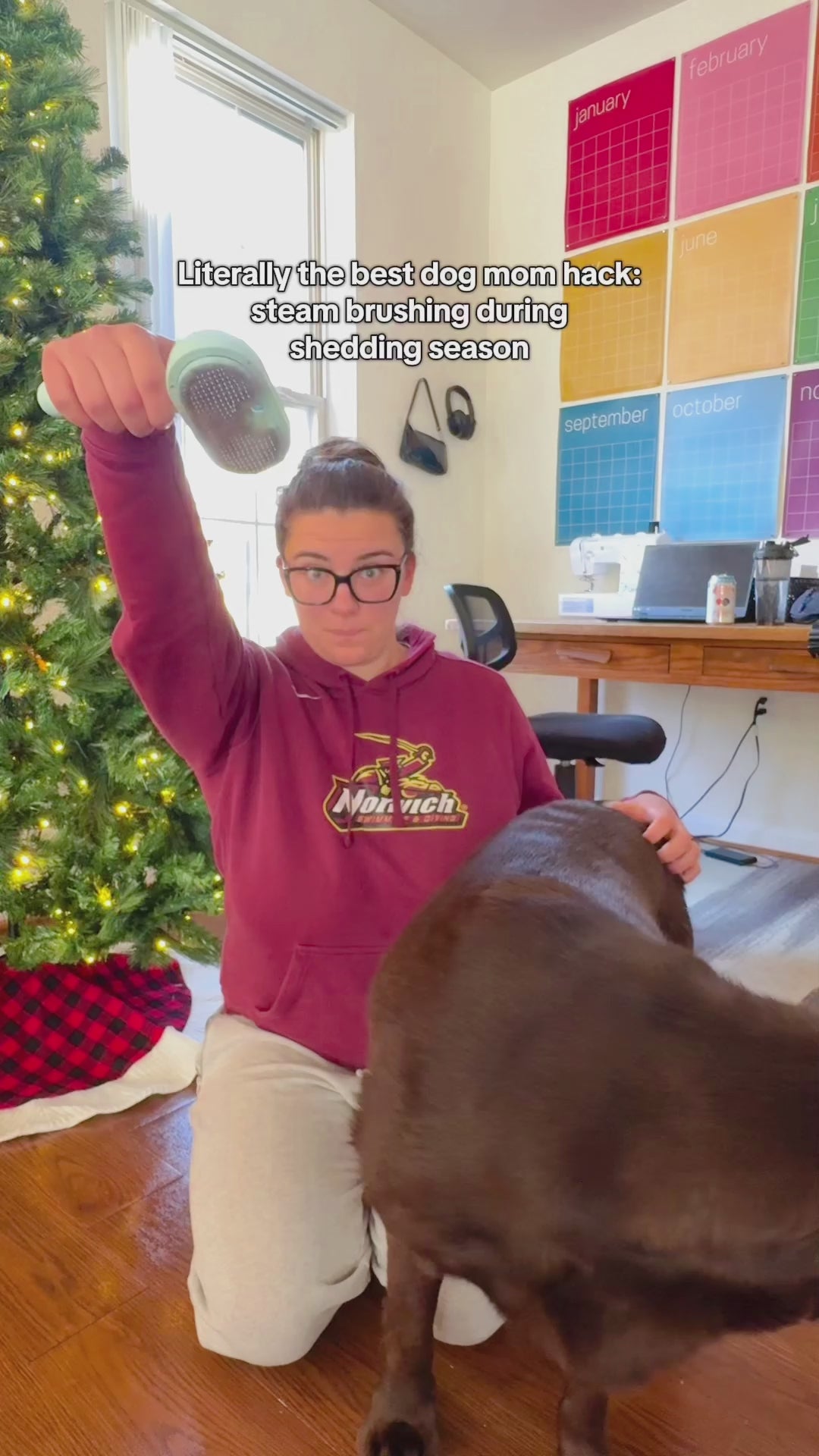 Load video: Stop pet hair mess in seconds